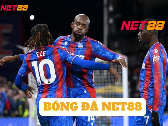 bóng đá net88